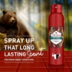 Picture of OLD SPICE MEN DEODORANT SPRAY - BEARGLOVE 150ml