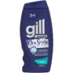 Picture of GILL ANTI-DANDRUFF 2 IN 1 CONDITIONER & SHAMPOO NORMAL HAIR 200ml